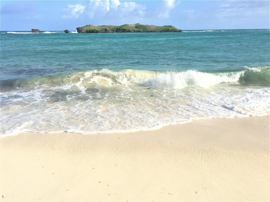 Watamu, Nestled Between Pristine Beaches And Lush Tropical Forest Hotel Exterior photo